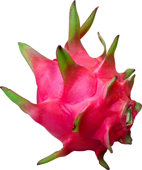 Dragon Fruit