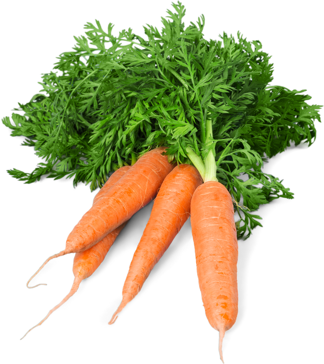 Carrot Vegetable with Leaves Isolated on White Background Cutout