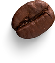 Isolated Cutout PNG