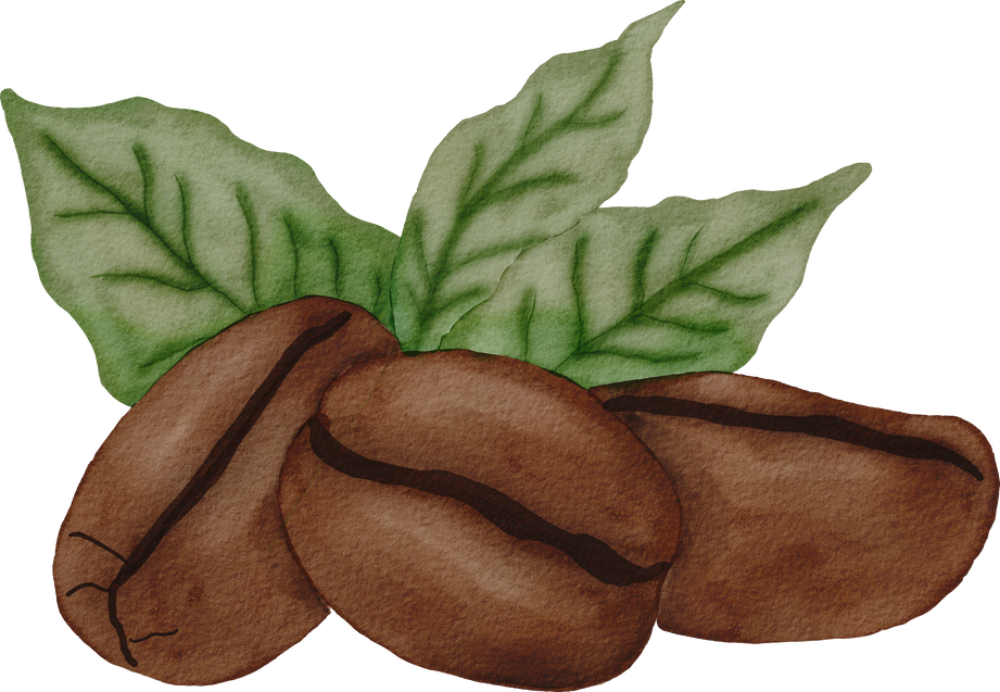 Coffee beans watercolor