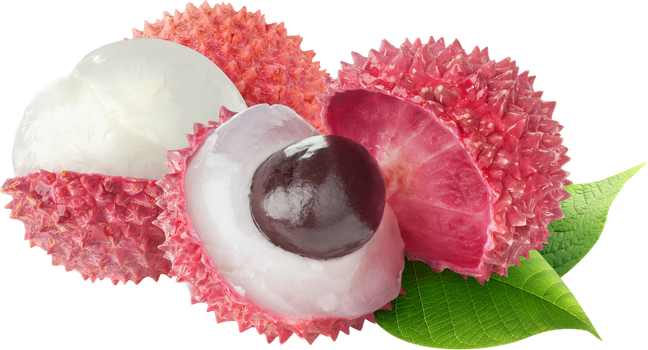 Isolated Peeled Lychee Fruits