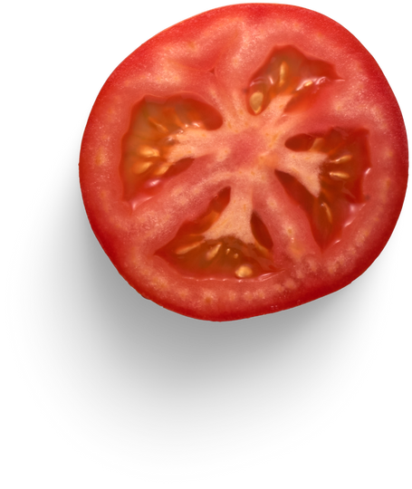 Isolated Cutout PNG