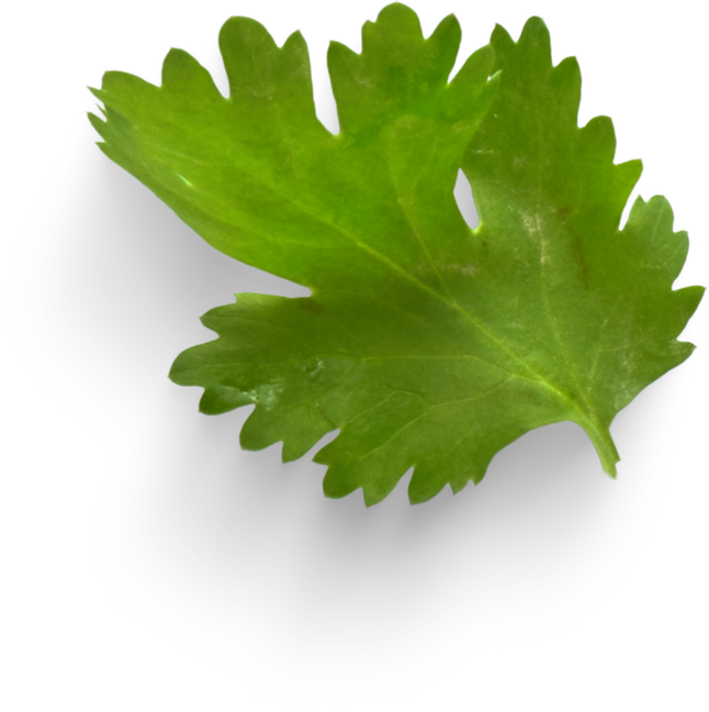 Isolated Cutout PNG